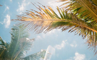 Exploring Florida’s Comparative Negligence Law